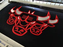 Cargar imagen en el visor de la galería, The BULLS Sweatshirt/Hoody
